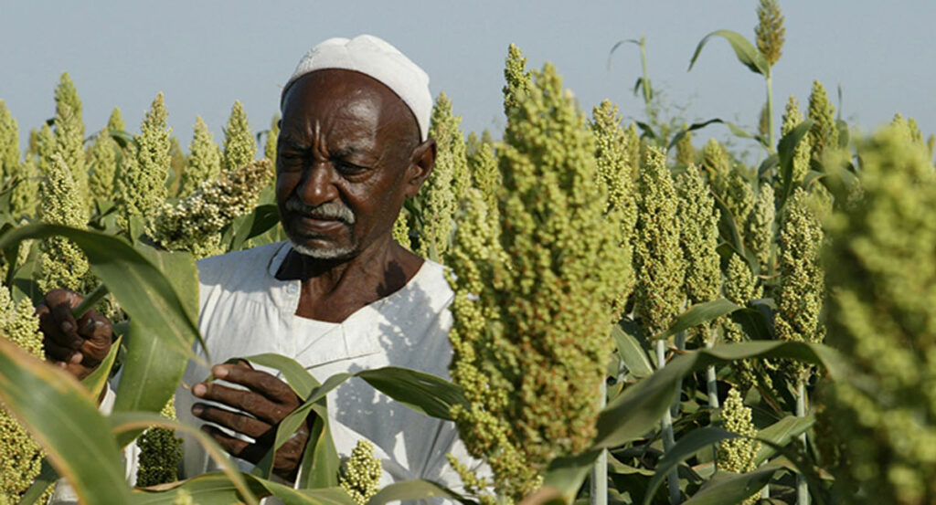 Alrahad Agri