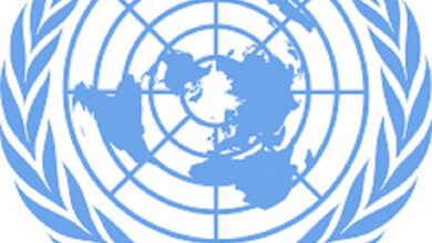 الامم المتحدة