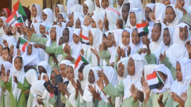 كتب | محمد رشوان