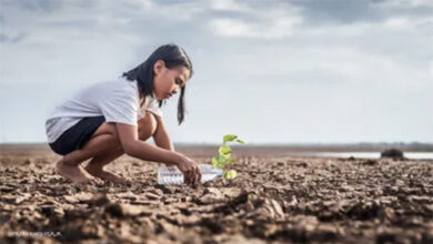 مستشفى افتراضي وروبوتات ذكية.. شرم الشيخ تتأهب لقمة المناخ