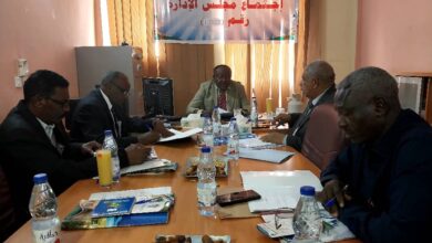 التمويل الاصغر