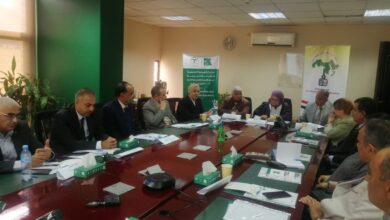 الشبكة العربية