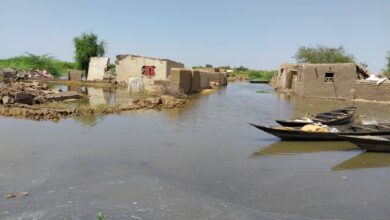 النيل الابيض