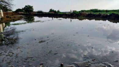 فيضان النيل الابيض