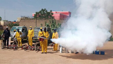 وقاية النباتات تكمل حملات مكافحة الآفات