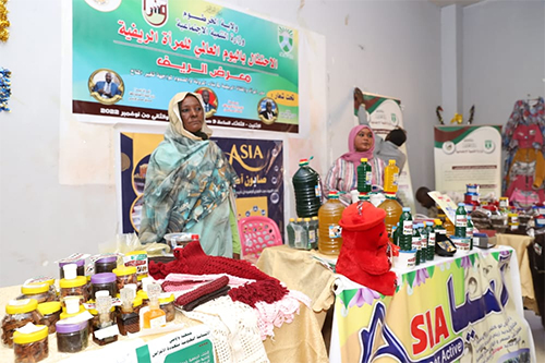 التنمية الإجتماعية مشروعات انتاجية لتخفيف حدة الفقر بالخرطوم