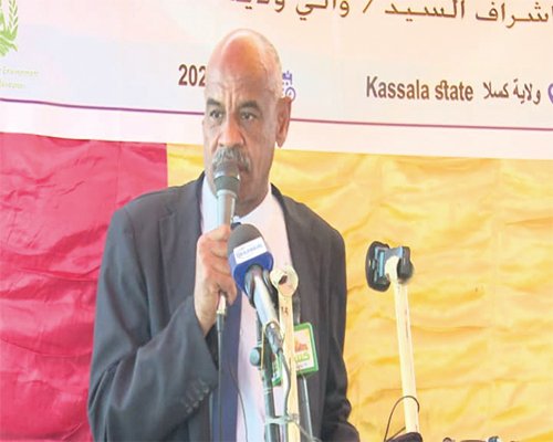 تدشين حصاد الذرة بمشروع كلهوت الزراعي بكسلا