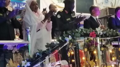 المؤسسة العسكرية