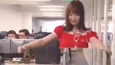 بالفيديو.. عباءة الإخفاء هل أصبح الحلم حقيقة أم مجرد خدعة؟