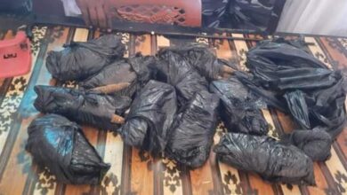 الشرطة تضبط متهمين اثنين وبحوزتهما 100 راس حشيش بولاية سودانية