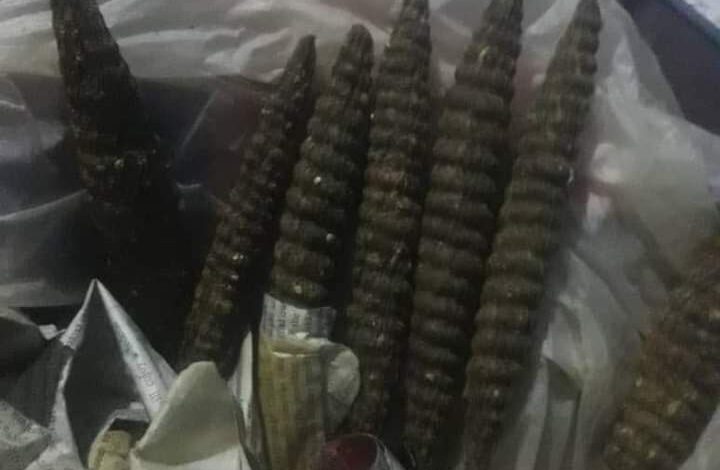 حشيش