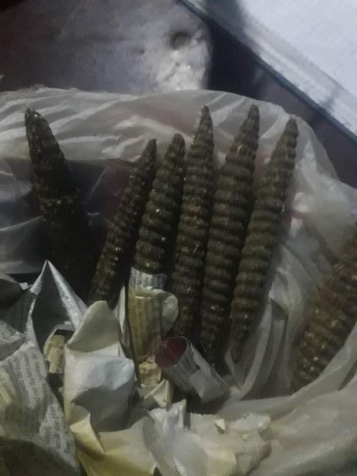 حشيش