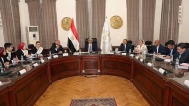 الفيروس التنفسي المخلوي في مصر... تطمينات رسمية ومخاوف أسرية