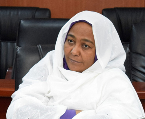 مسجل عام تنظيمات العمل يكون لجنة لإستلام دور وممتلكات بعض الإتحادات