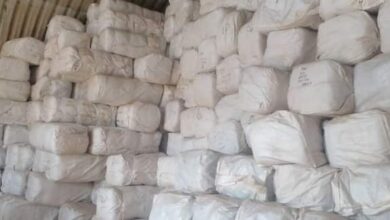     خليل فتحي يكتب بكوستي عذاب توزيع الناموسيات المشبعة