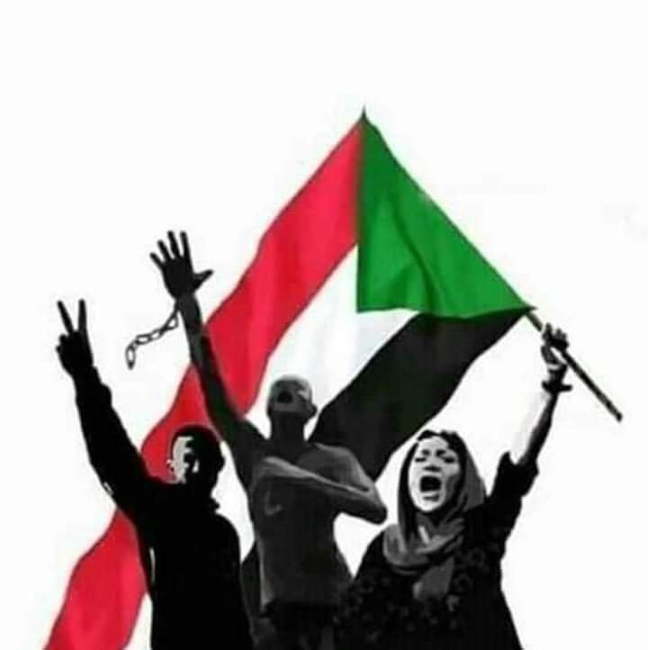 لجان المقاومة تعلن مليونية ٢٩ ديسمبر ضد الإنتهاكات اللاإنسانية