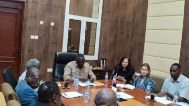 الأمم المتحدة:برنامج دعم  الأمن الغذائي في السودان