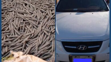 الشرطة تضبط مروجاً بحوزته عدد (1640) رأس حشيش وعربة سوناتا