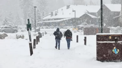 السلطات الأميركية حذّرت من خطورة التنقل في العاصفة الثلجية (الأناضول)