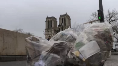 فضيحة تتطلب المحاسبة.. جرذ يخرج من ملابس سيدة خلال لقاء تلفزيوني بباريس