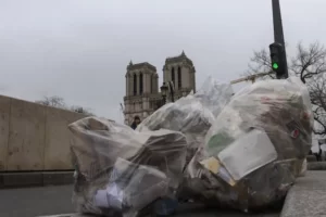 تكدس القمامة أحد أسباب انتشار الجرذان (الجزيرة)