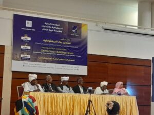 مشاركة المواطنين في التحول الديمقراطي السلمي