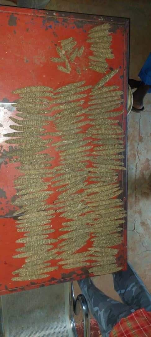 الشرطة تضبط متهم بحوزته (115)رأس حشيش