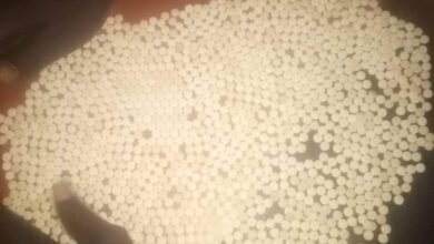 ضبط شحنة حبوب ممنوعة وأشياء مهربة بكبري الحلفايا