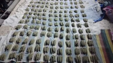 الشرطة تضبط متهمين بحوزتهم (1617) رأس حشيش