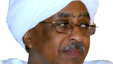 الشريف الهندي يصل البلاد