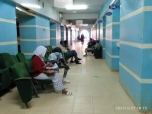 عودة (153) سوداني من النيجر