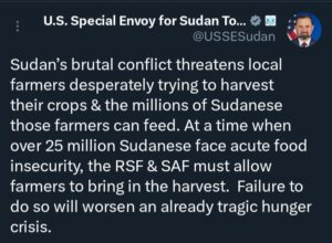 توم بيريللو