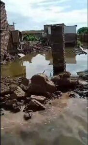مائية