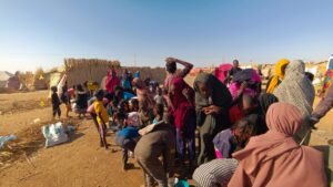 الجزيرة أبا 