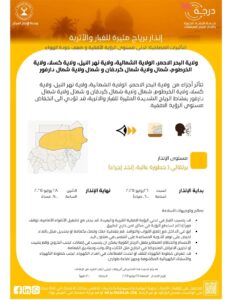 الجوية