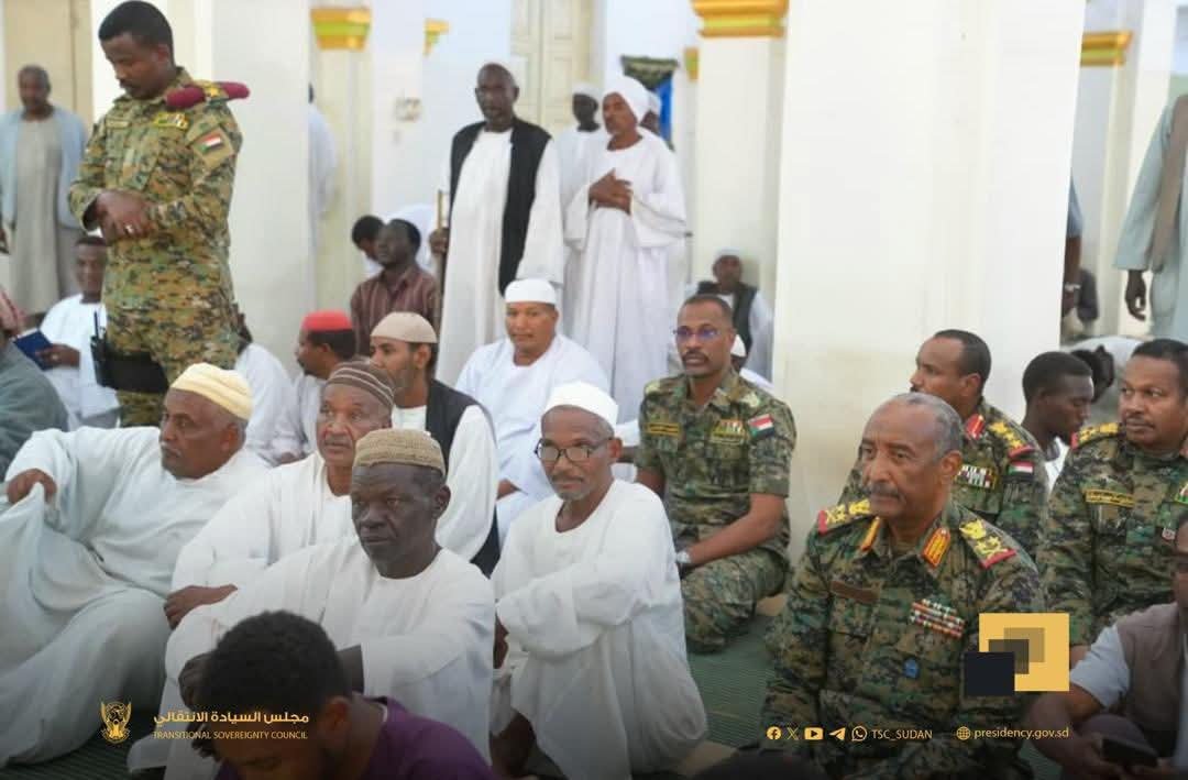 القطينة