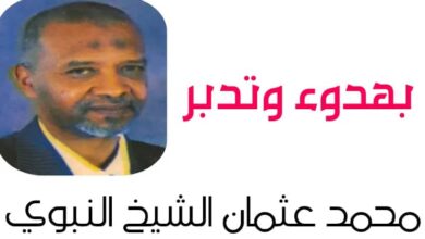 محمد عثمان الشيخ النبوي