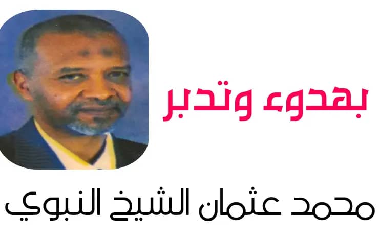 محمد عثمان الشيخ النبوي