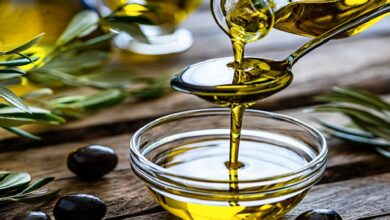 قدرة زيت الزيتون البكر على تعديل "ميكروبيوم الأمعاء"