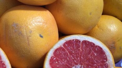 احذر: 14 دواءً يحظر تناولها مع الجريب فروت لتجنب المخاطر