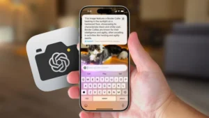 ميزة الذكاء البصري من أبل