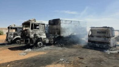 شمال كردفان تدين استهداف الدعم السريع لشاحنات الغذاء العالمي