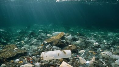 تقرير دولي: الشركات تواجه خطر الانقراض إذا لم تنقذ الطبيعة الآن