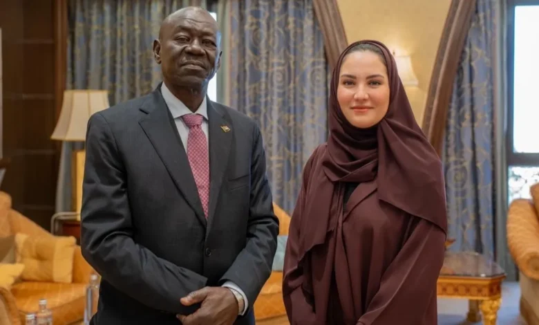 وزير الدفاع السوداني: ميليشيا الدعم السريع على وشك الهزيمة