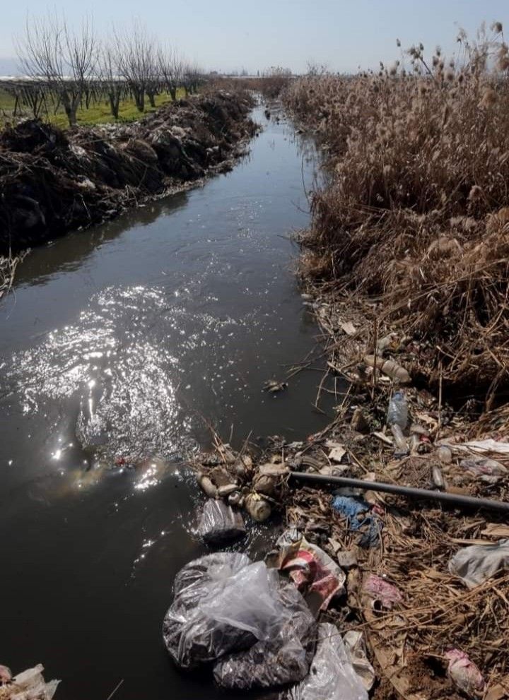 يوصي التقرير الشركات بأن تقود الطريق نحو اقتصاد عالمي أكثر استدامة (أسوشيتد برس)
