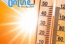 صورة ٢