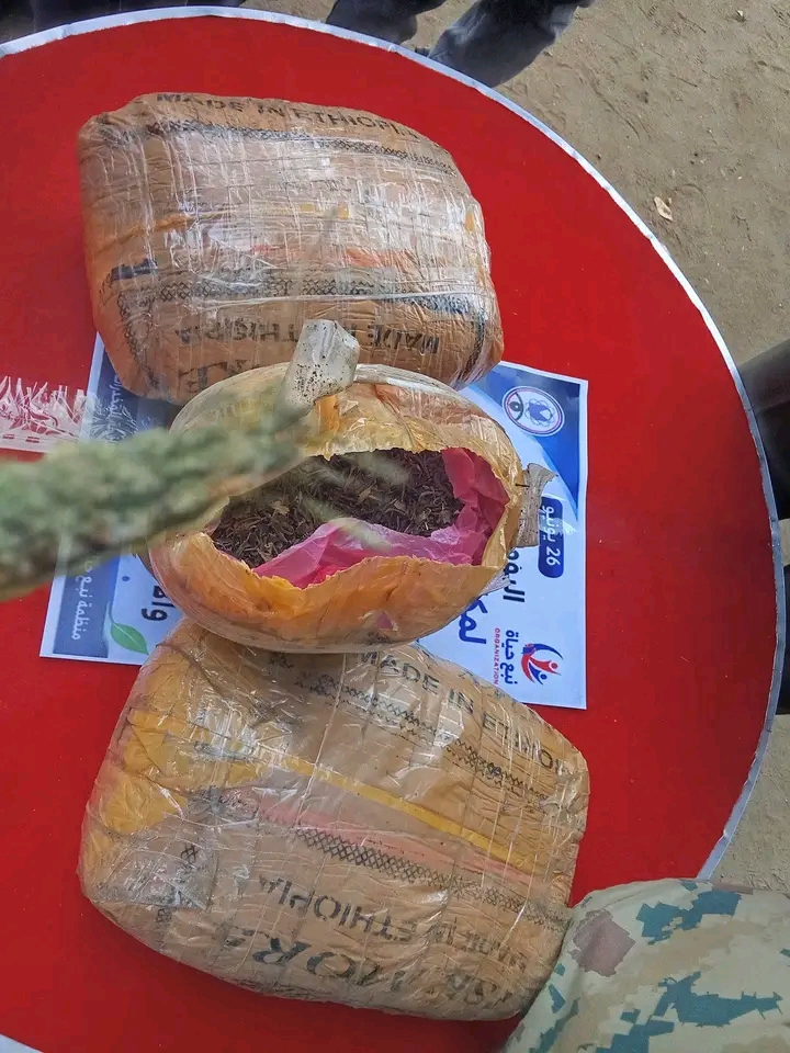 حشيش