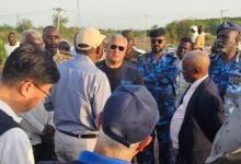 الفاو