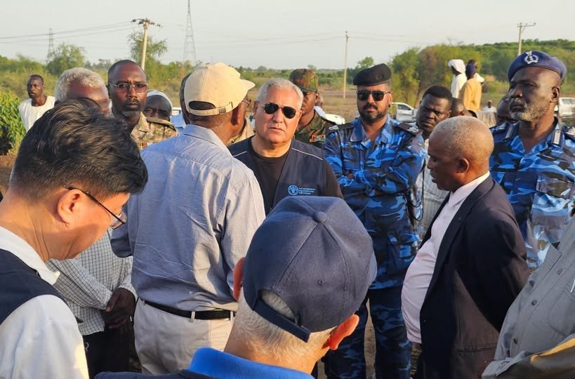 الفاو