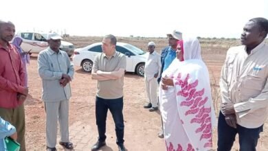 مشروع اصبعيات الأسماك